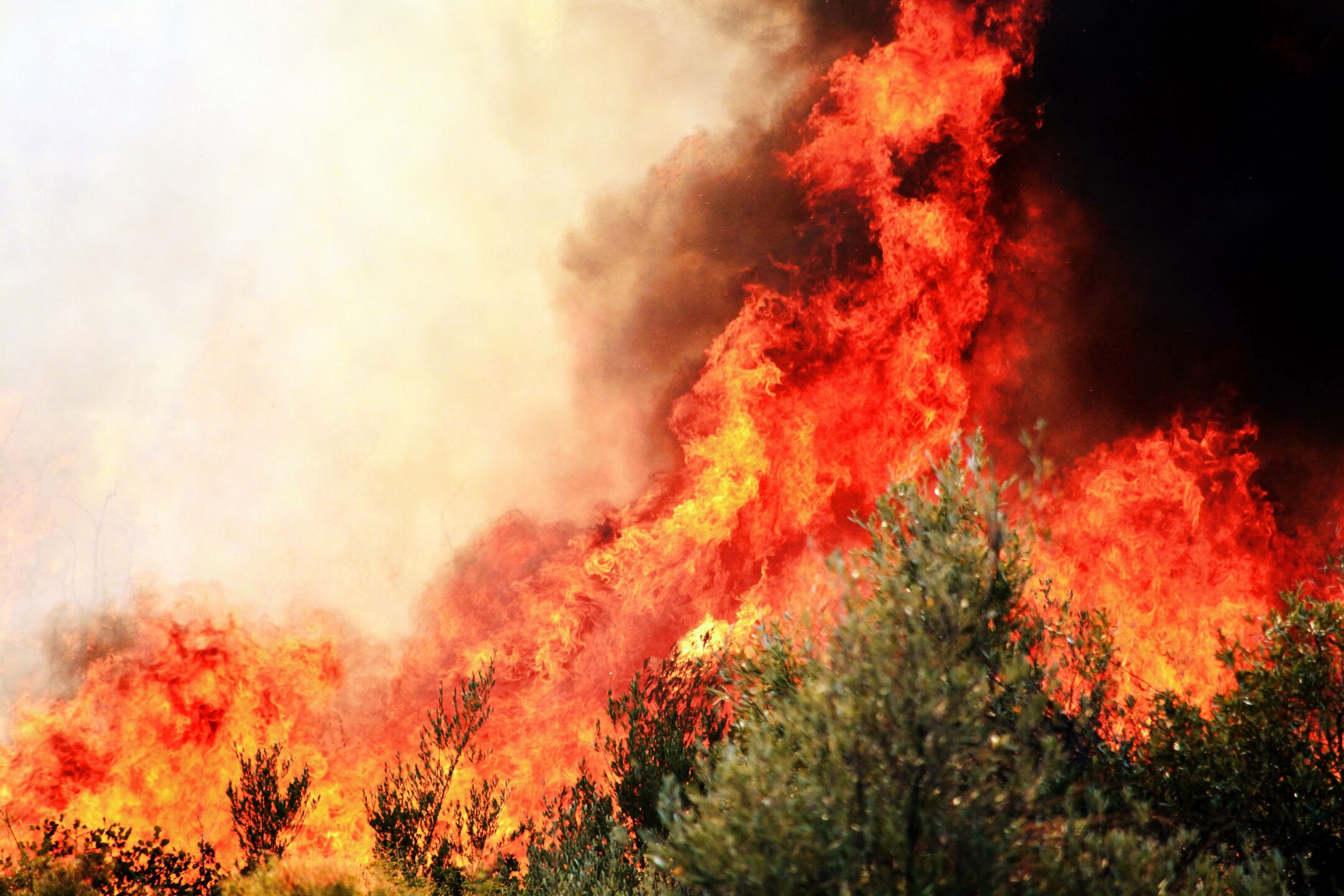Foto de Yavuz Solgun El fuego no entiende de fronteras